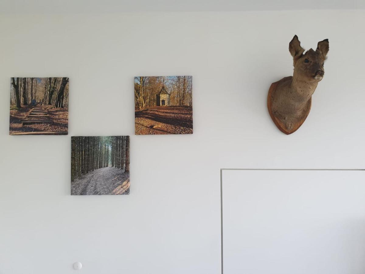 Terrasses De Malmedy - Duplex "Happiness" - Pellet & Airco- Exterior foto